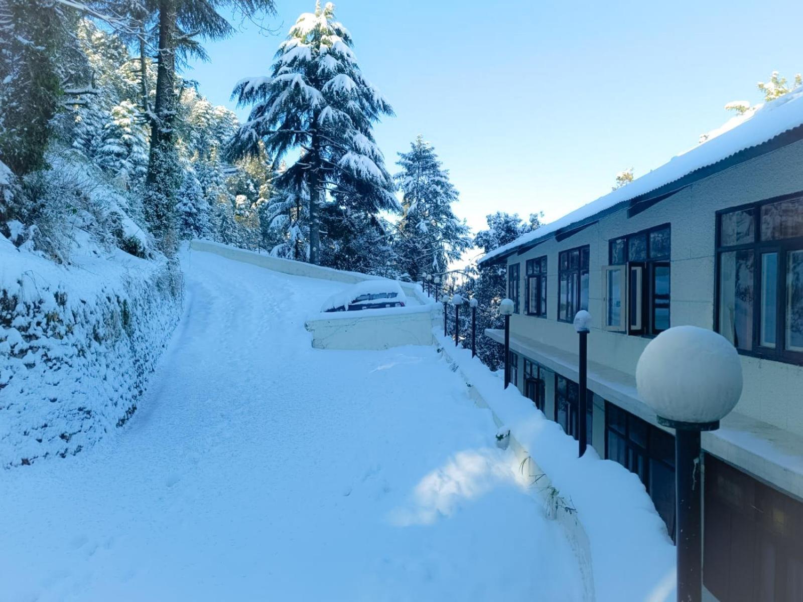 Surya Resort Dalhousie Eksteriør billede